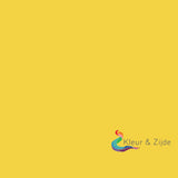 Dupont zijdeverf 715 Jaune de Chrome – acid dye voor zijde en wol